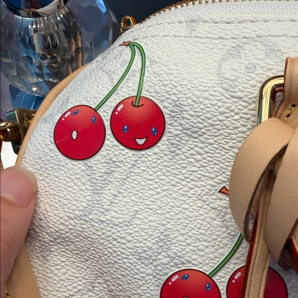Louis Vuitton LV x TM Cerises/Cherries Soft Speedy 30 - Picture 15 of 17